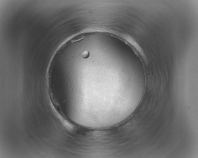 X0000068741380200605121533