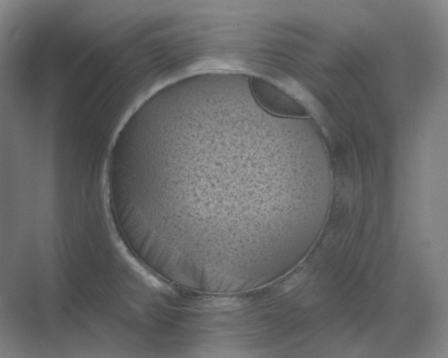 X0000068741382200605121533