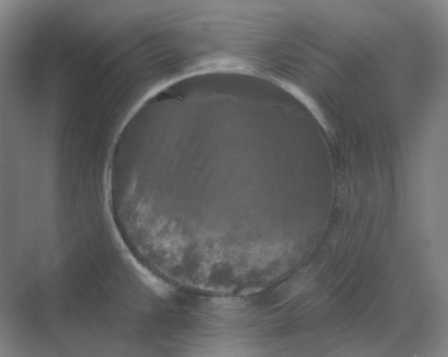 X0000068741383200605121533