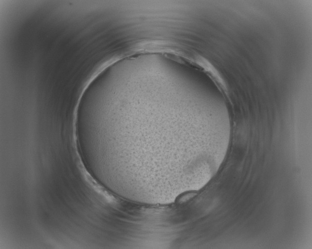 X0000068741386200605121533