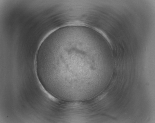 X0000068741387200605121532