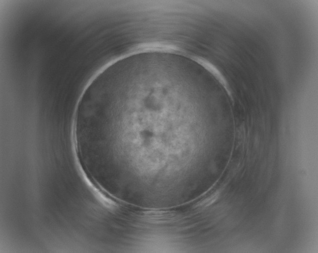 X0000068741391200605121532