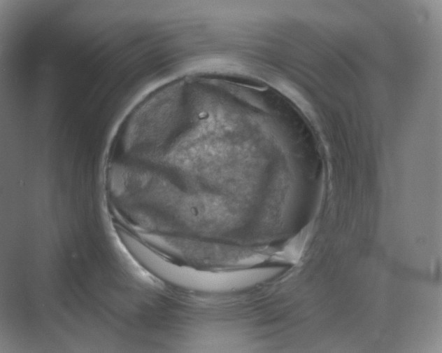 X0000068741392200605121532