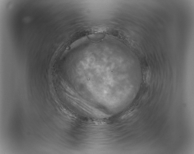 X0000068741393200605121532