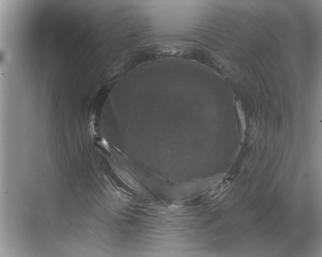 X0000068741394200605121532