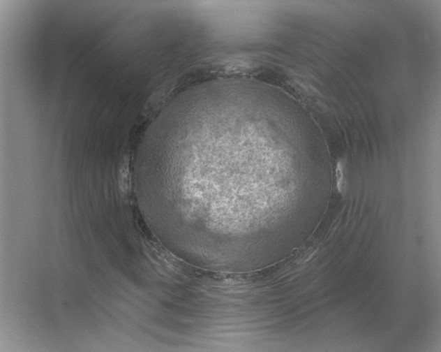 X0000068741395200605121532