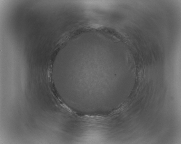 X0000068741397200605121532