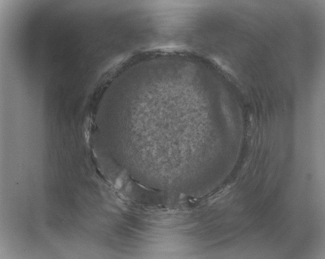 X0000068741398200605121532