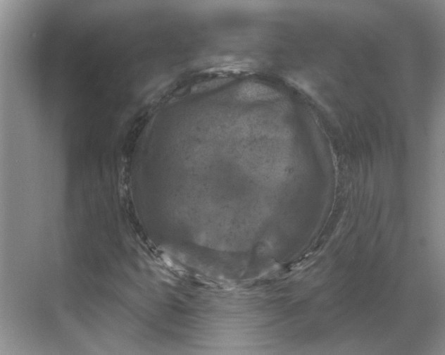 X0000068741399200605121532