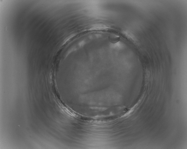 X0000068741401200605121532