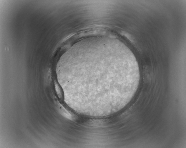 X0000068741402200605121532