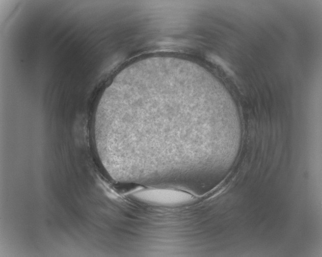 X0000068741403200605121532