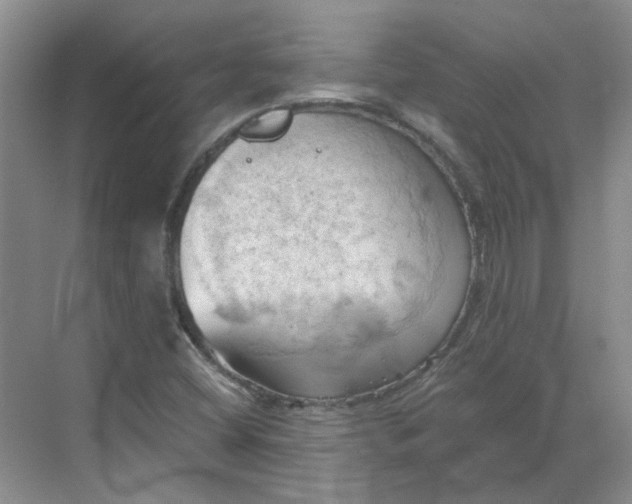 X0000068741404200605121532