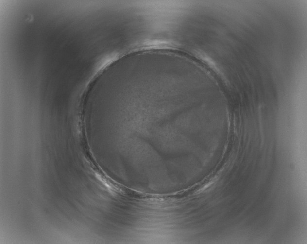 X0000068741405200605121532