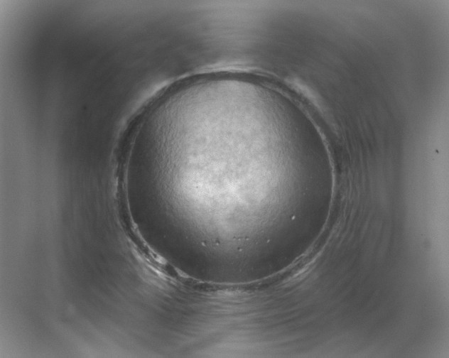 X0000068741406200605121532