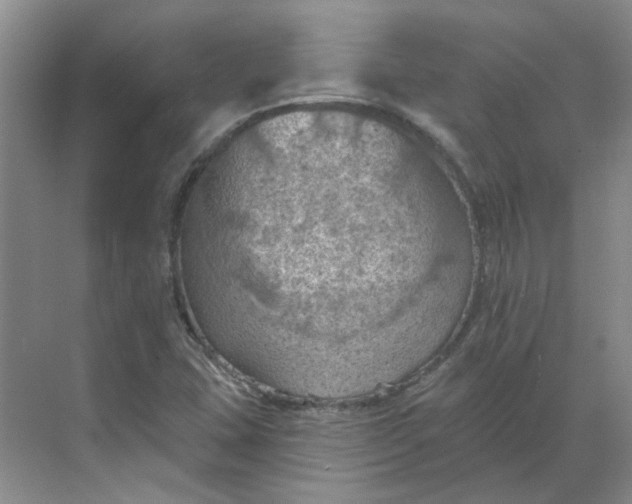 X0000068741407200605121532