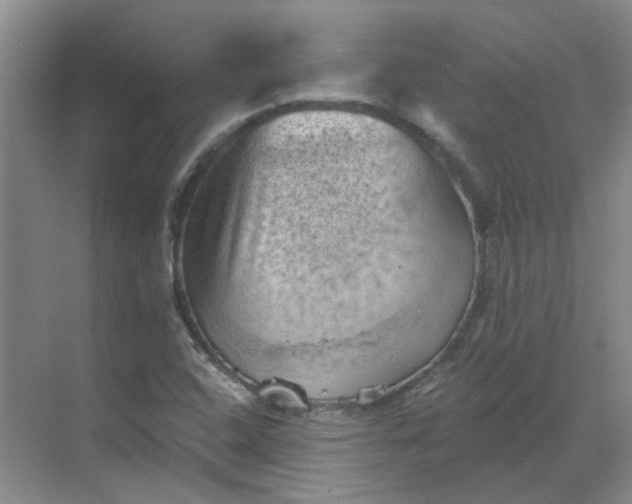 X0000068741408200605121532