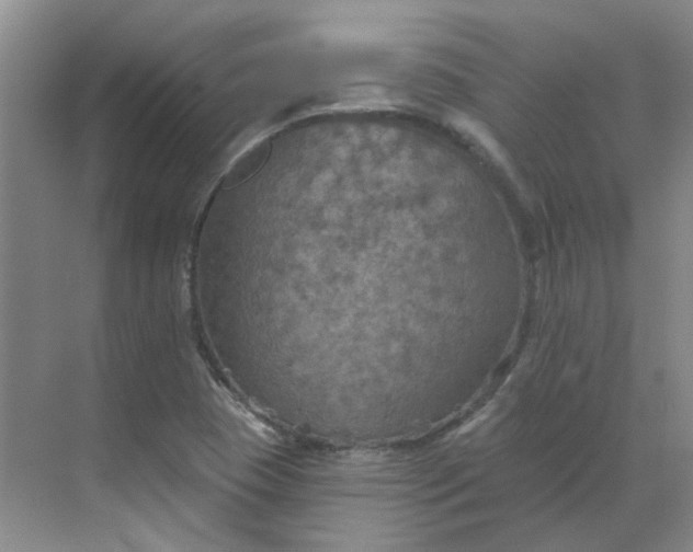 X0000068741409200605121532