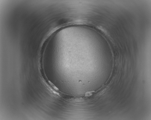 X0000068741410200605121532