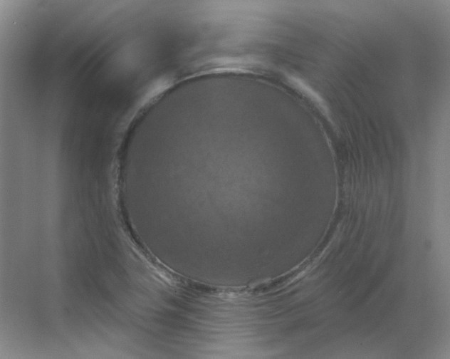 X0000068741411200605121532