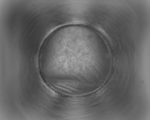 X0000068741412200605121532