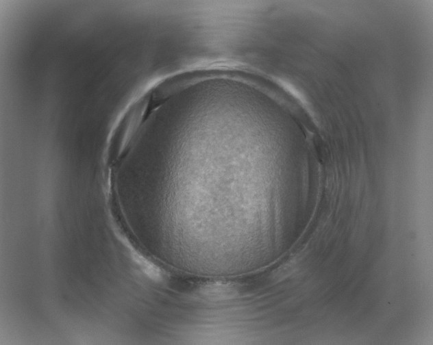 X0000068741414200605121532