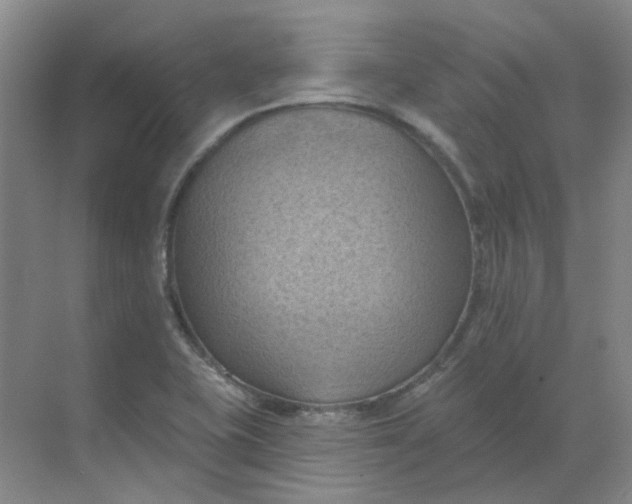 X0000068741415200605121532