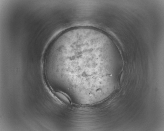 X0000068741416200605121532