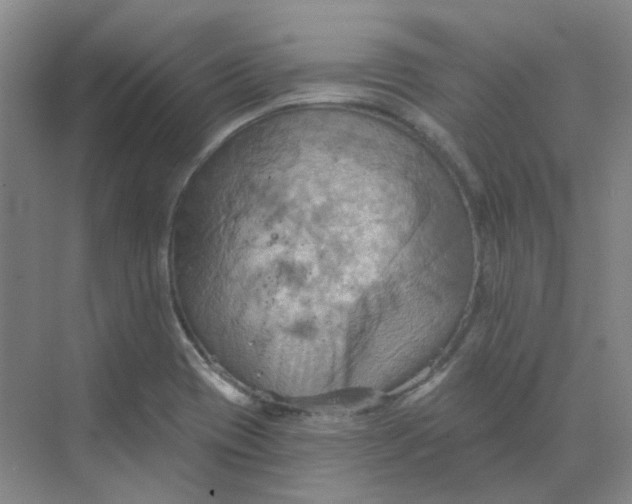 X0000068741417200605121532