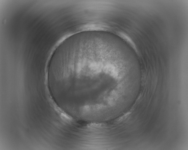 X0000068741419200605121532