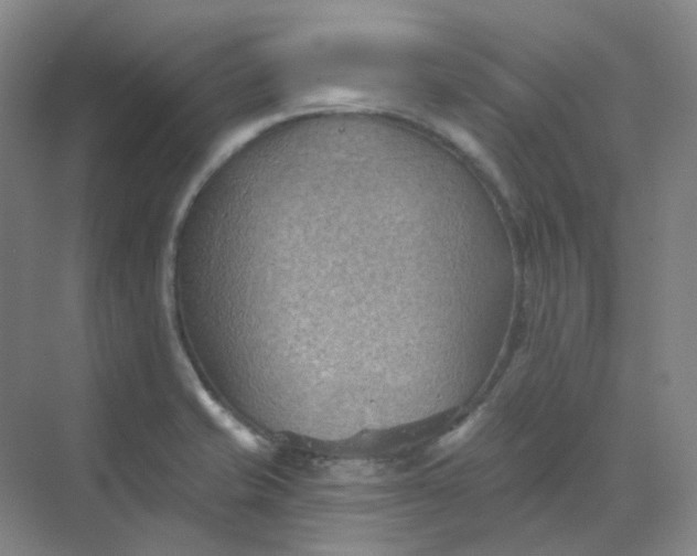 X0000068741421200605121532