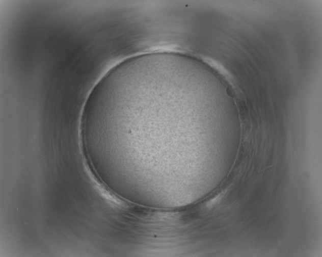 X0000068741423200605121532