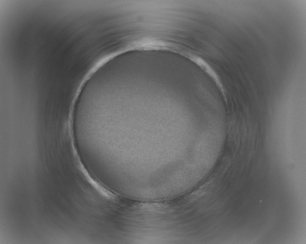 X0000068741429200605121532