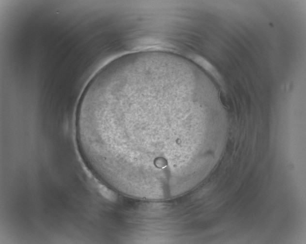 X0000068741431200605121532