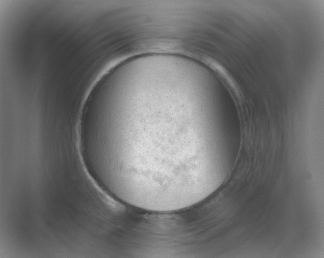 X0000068741432200605121532