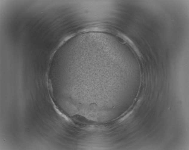 X0000068741433200605121532