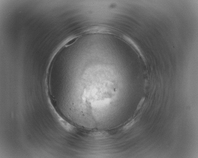 X0000068741434200605121532