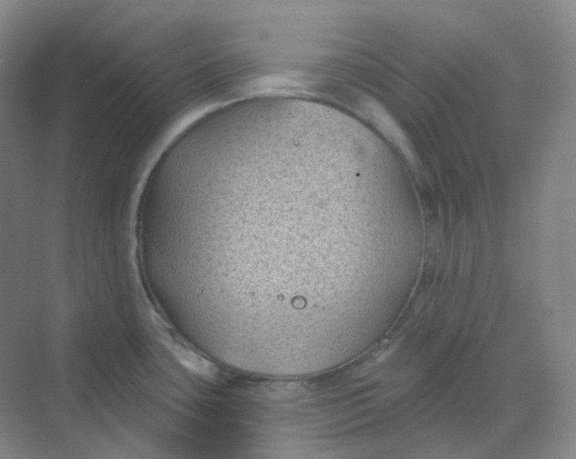 X0000068741435200605121532