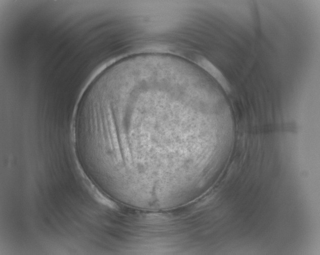 X0000068741436200605121532