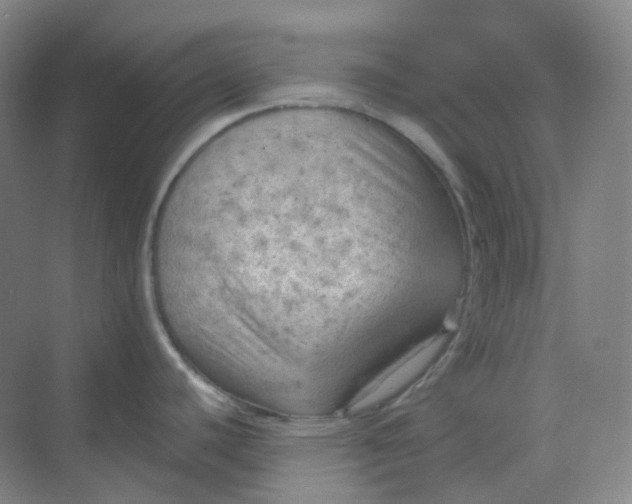 X0000068741440200605121532