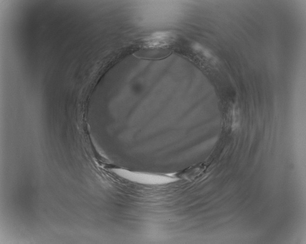 X0000068741441200605121532