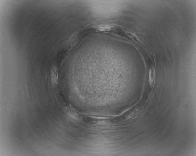 X0000068741443200605121532