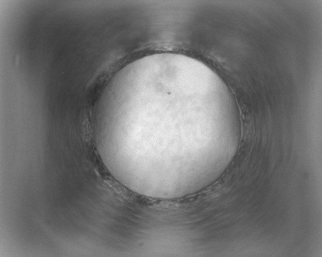 X0000068741446200605121531