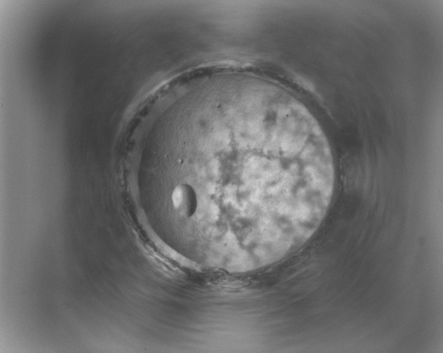 X0000068741448200605121531