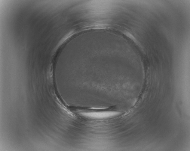 X0000068741450200605121531