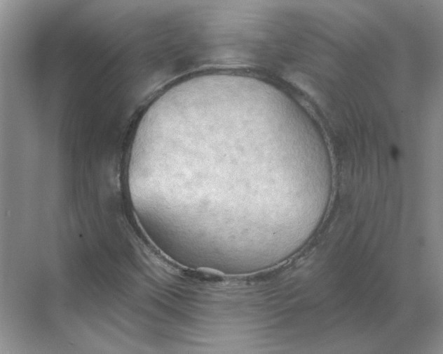 X0000068741451200605121531