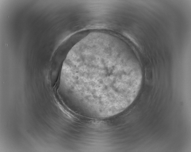 X0000068741452200605121531