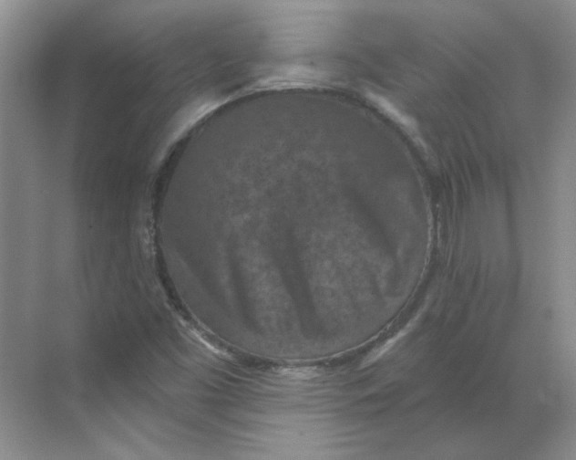 X0000068741453200605121531