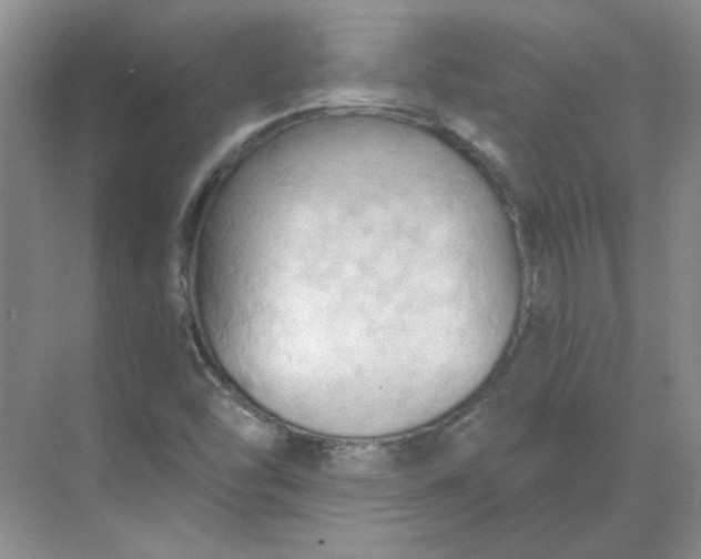 X0000068741454200605121531