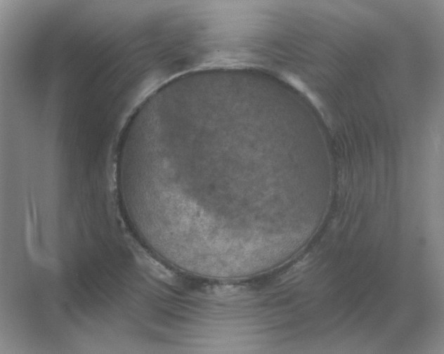 X0000068741459200605121531